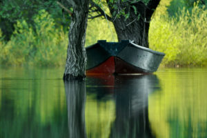 boats, River, Lake, Water, Flood, Mood, Trees