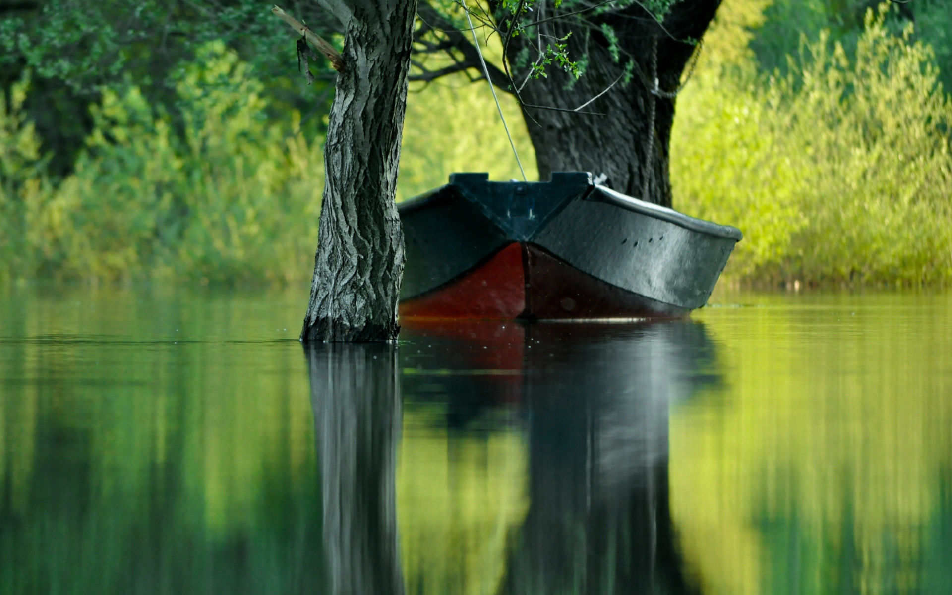 boats, River, Lake, Water, Flood, Mood, Trees Wallpaper