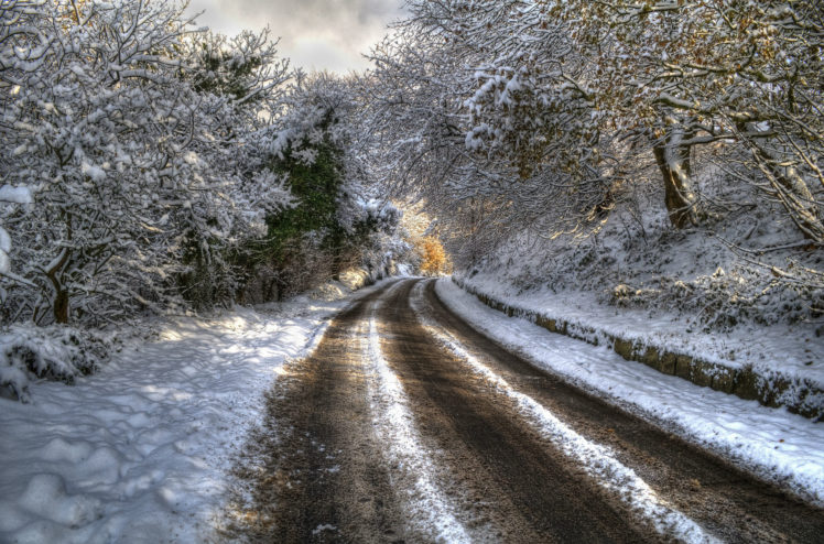 nature, Winter, Snow, Trees HD Wallpaper Desktop Background