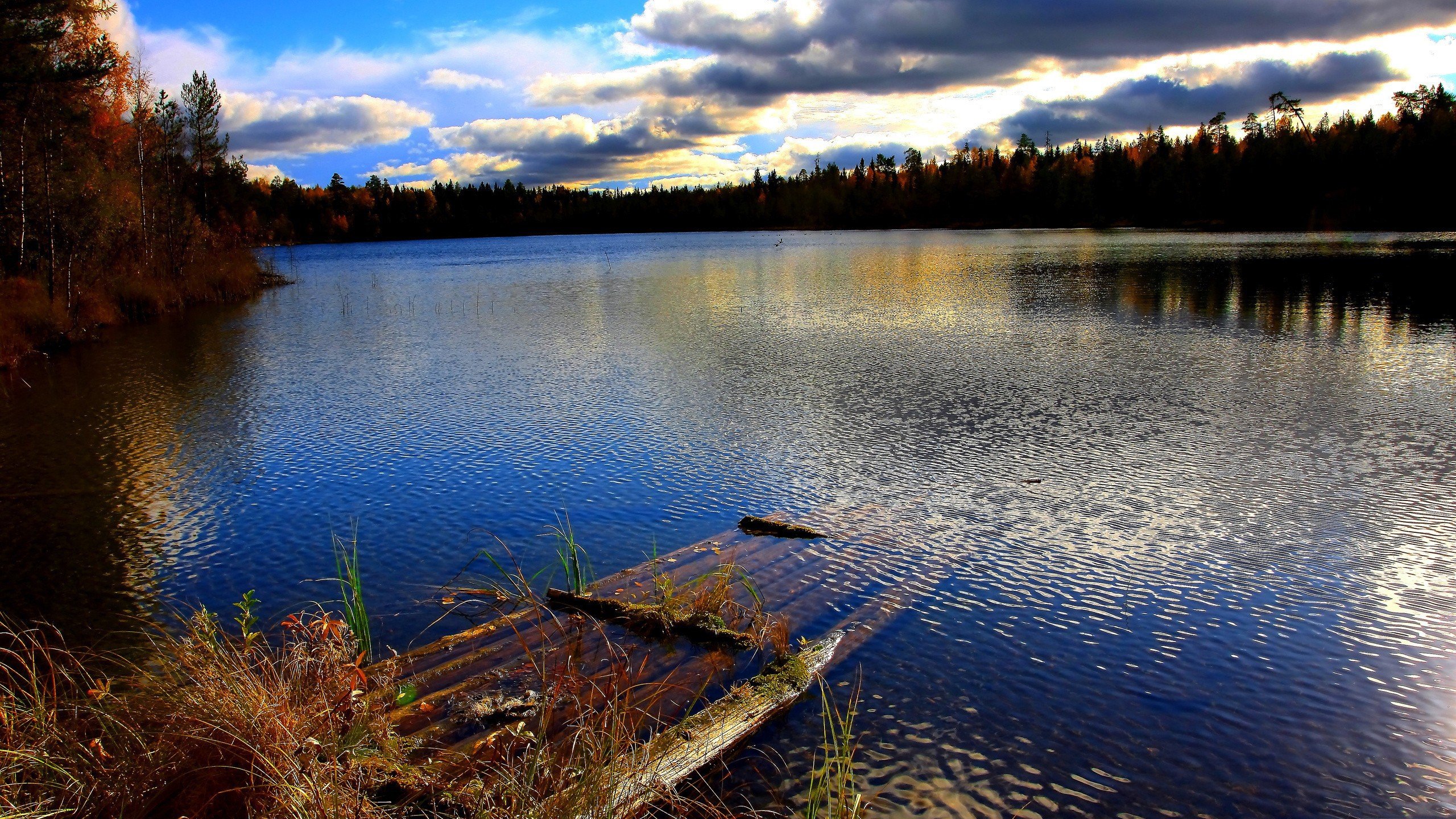 water, Clouds, Landscapes, Trees, Forests, Lakes, Rivers, Skyscapes Wallpaper