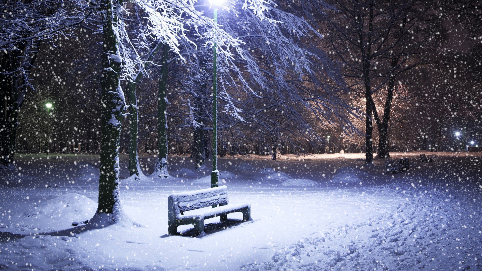 winter Wallpaper