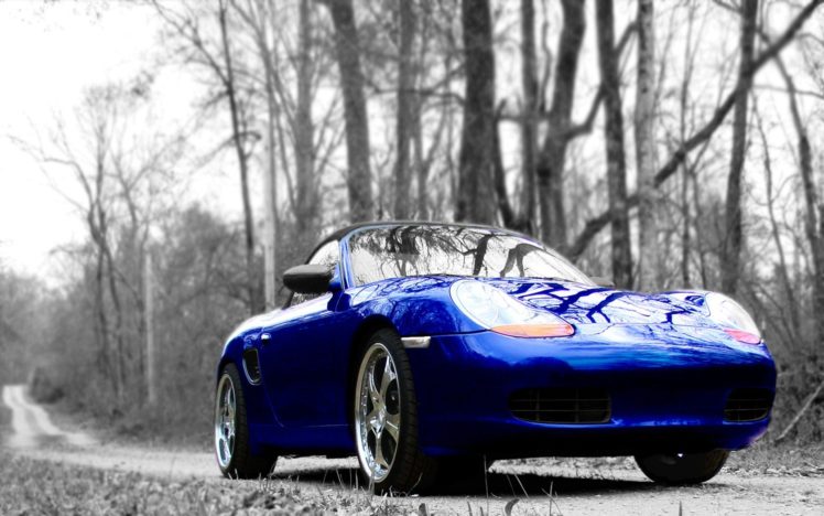 trees, Porsche, Cars, Vehicles HD Wallpaper Desktop Background