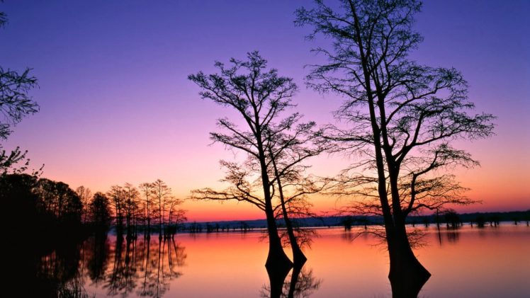 water, Sunset, Landscapes, Nature, Trees, Dusk HD Wallpaper Desktop Background