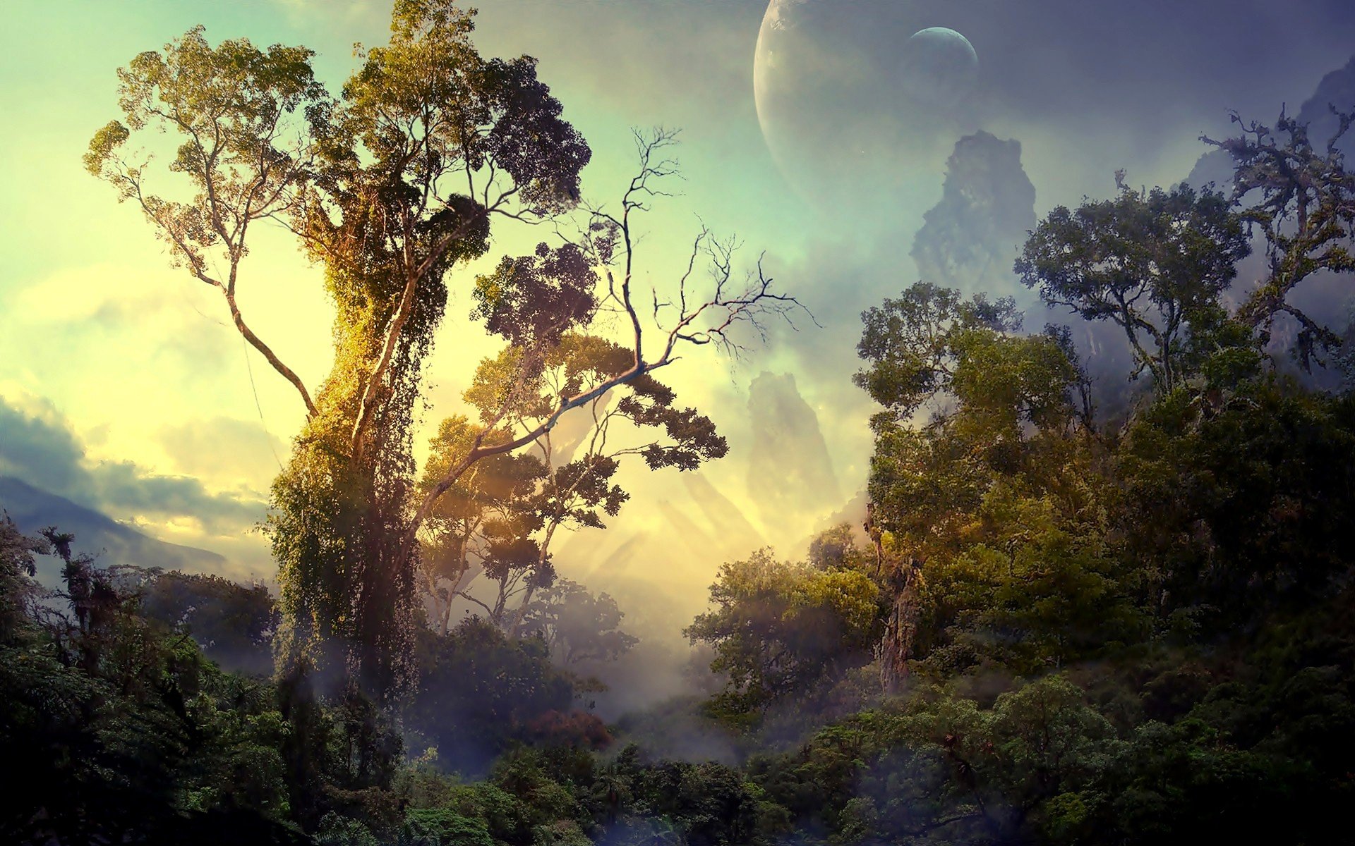 landscapes, Planets, Rainforest Wallpaper