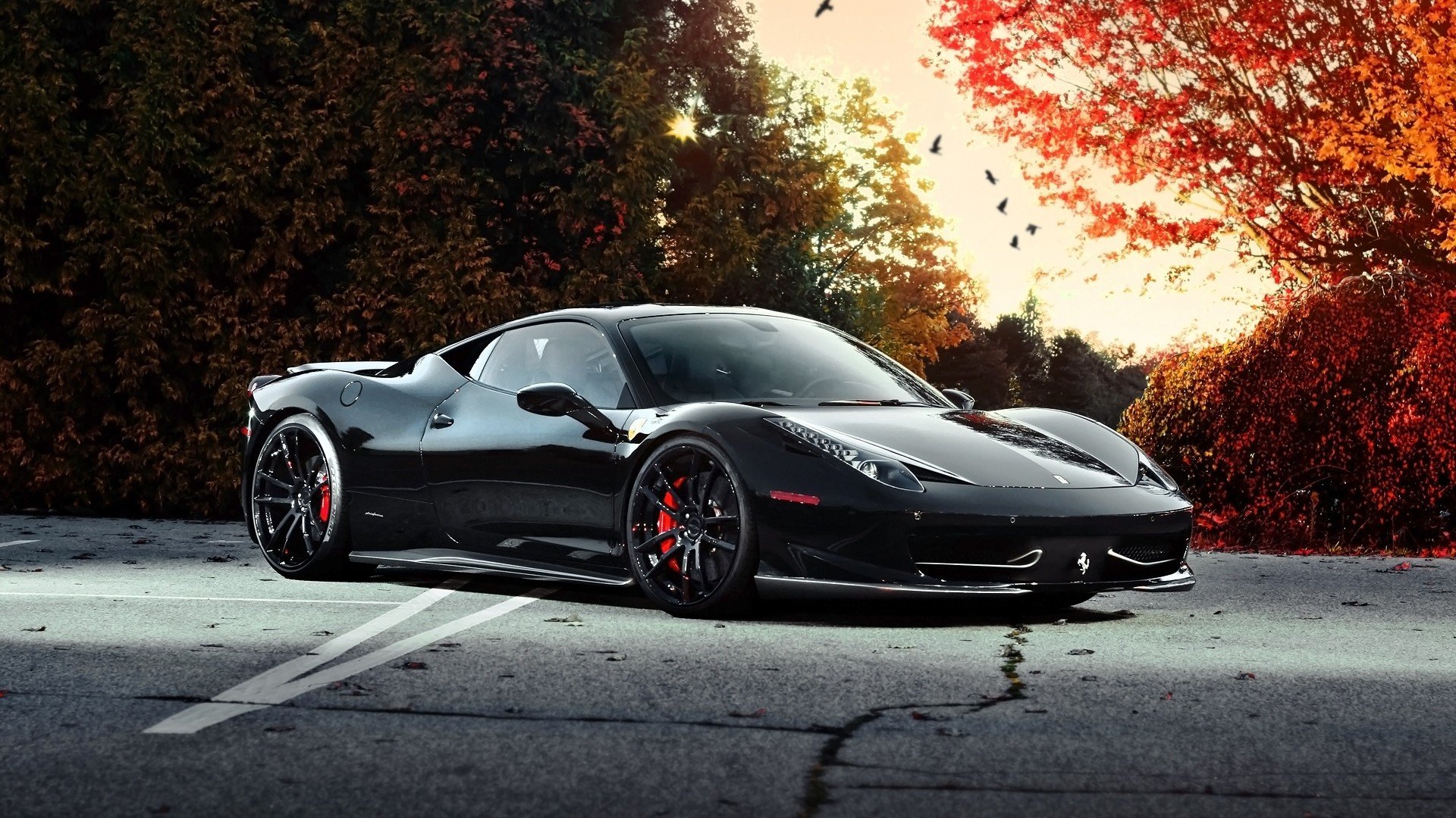 trees, Cars, Roads, Ferrari, 458, Italia, Tuning, Rims, Tuned, Black, Cars Wallpaper