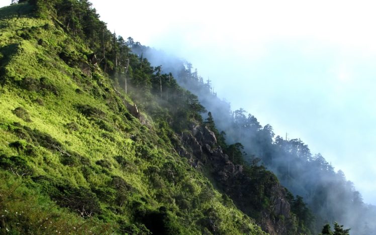 mountains, Landscapes, Nature, Trees, Grass, Hills, Rocks, Mist HD Wallpaper Desktop Background
