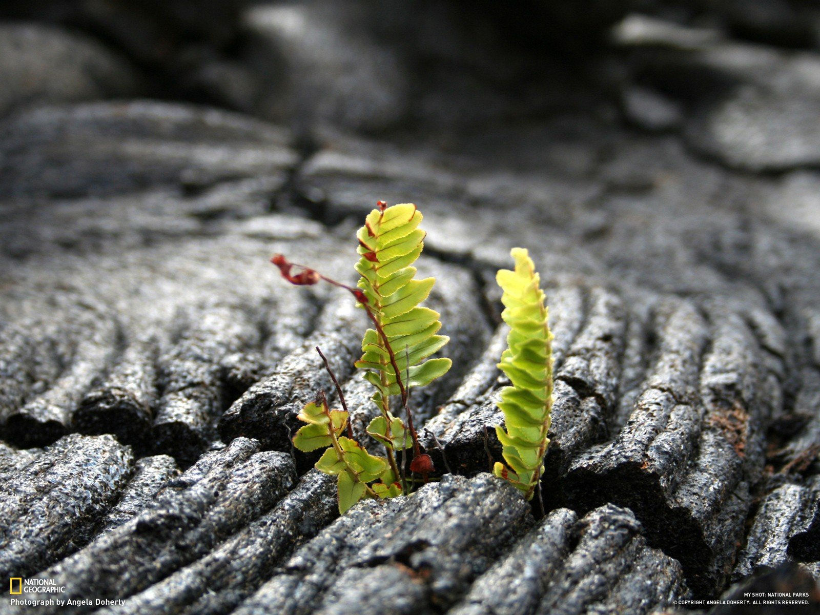 national, Parks, National, Park Wallpaper