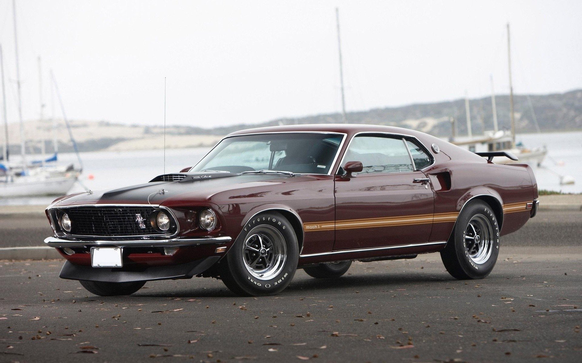 vehicles, 1969, Ford, Mustang, Mach, 1, Cars Wallpaper