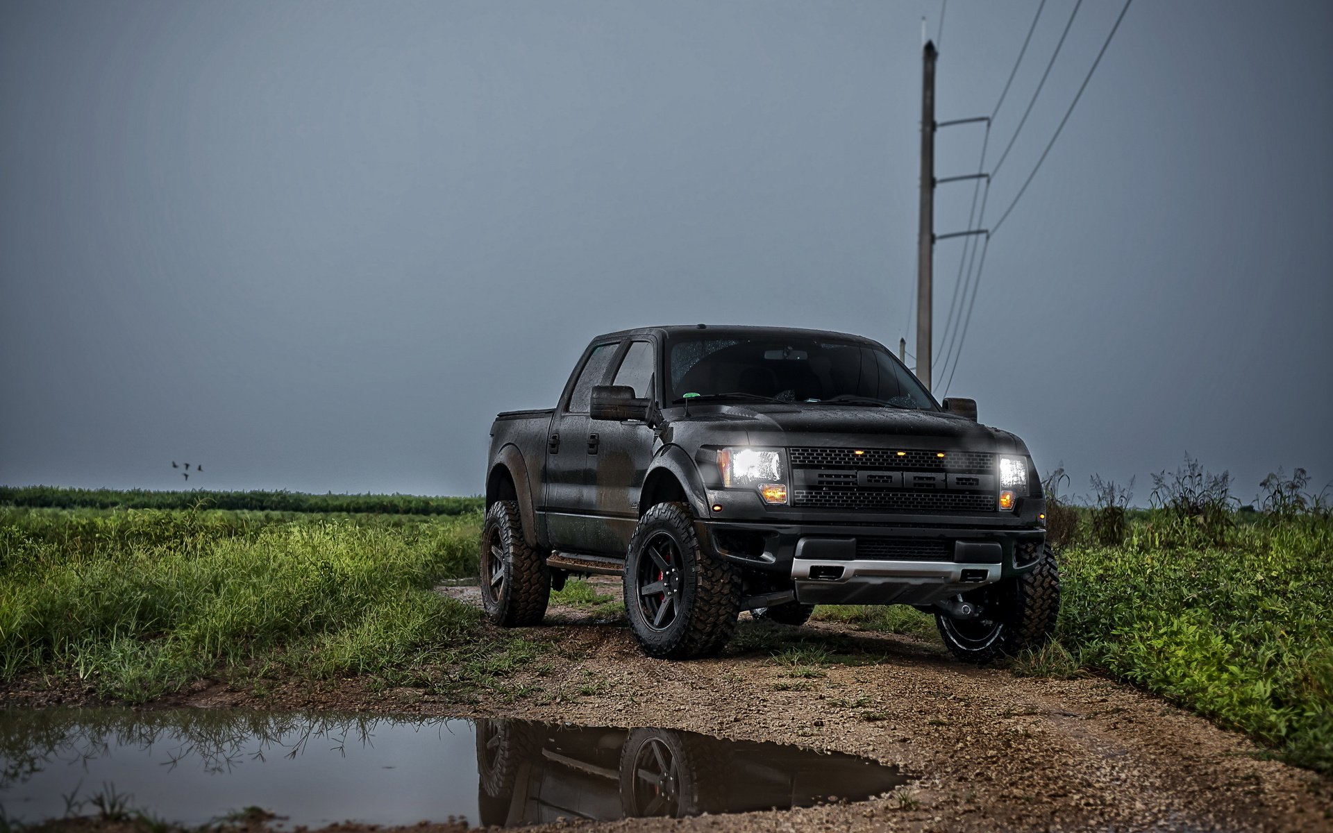 vehicles, Ford, Raptor, Trucks Wallpaper
