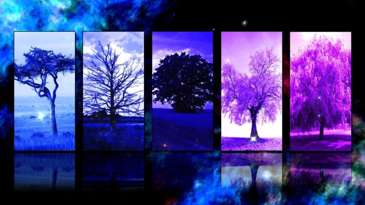 trees, Panels HD Wallpaper Desktop Background