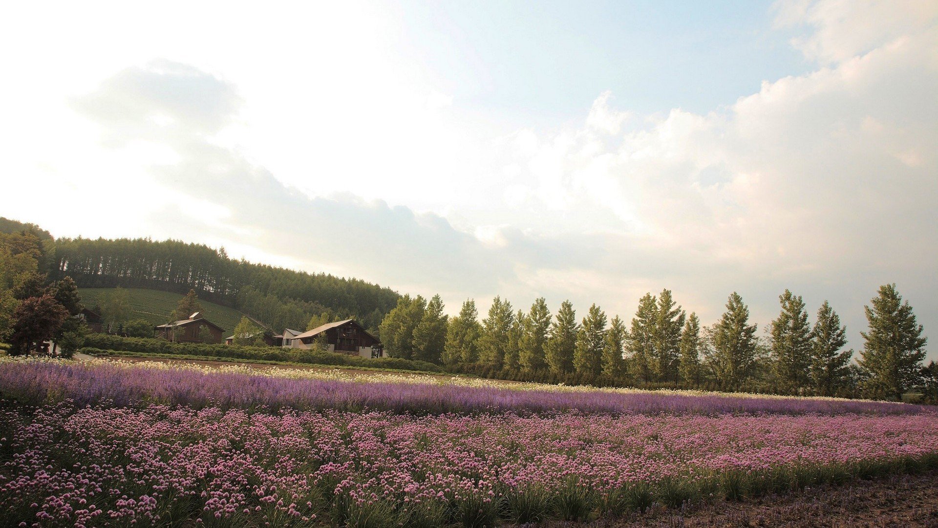 clouds, Landscapes, Nature, Skies Wallpaper