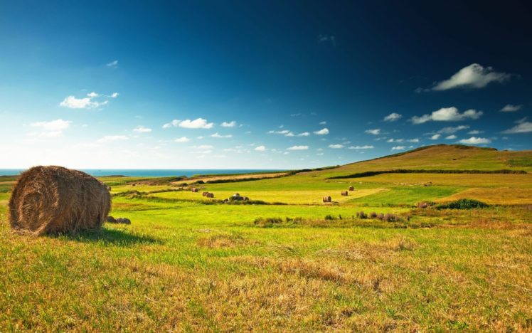 landscapes, Skylines, Fields, Farms HD Wallpaper Desktop Background