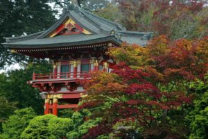 tea, Garden, Japanese, California, San, Francisco, Gate, Temples