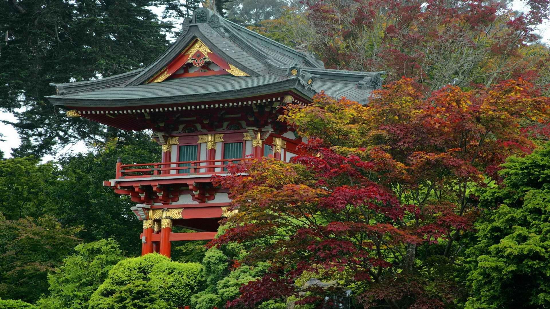 tea, Garden, Japanese, California, San, Francisco, Gate, Temples Wallpaper