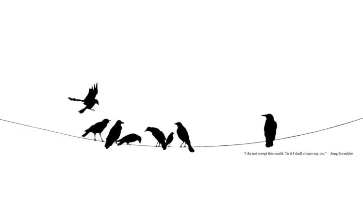 black, And, White, Minimalistic, Quotes, Power, Lines, Crows, Ravens HD Wallpaper Desktop Background