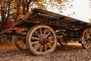 landscapes, Wood, Cars, Cart, Carriage