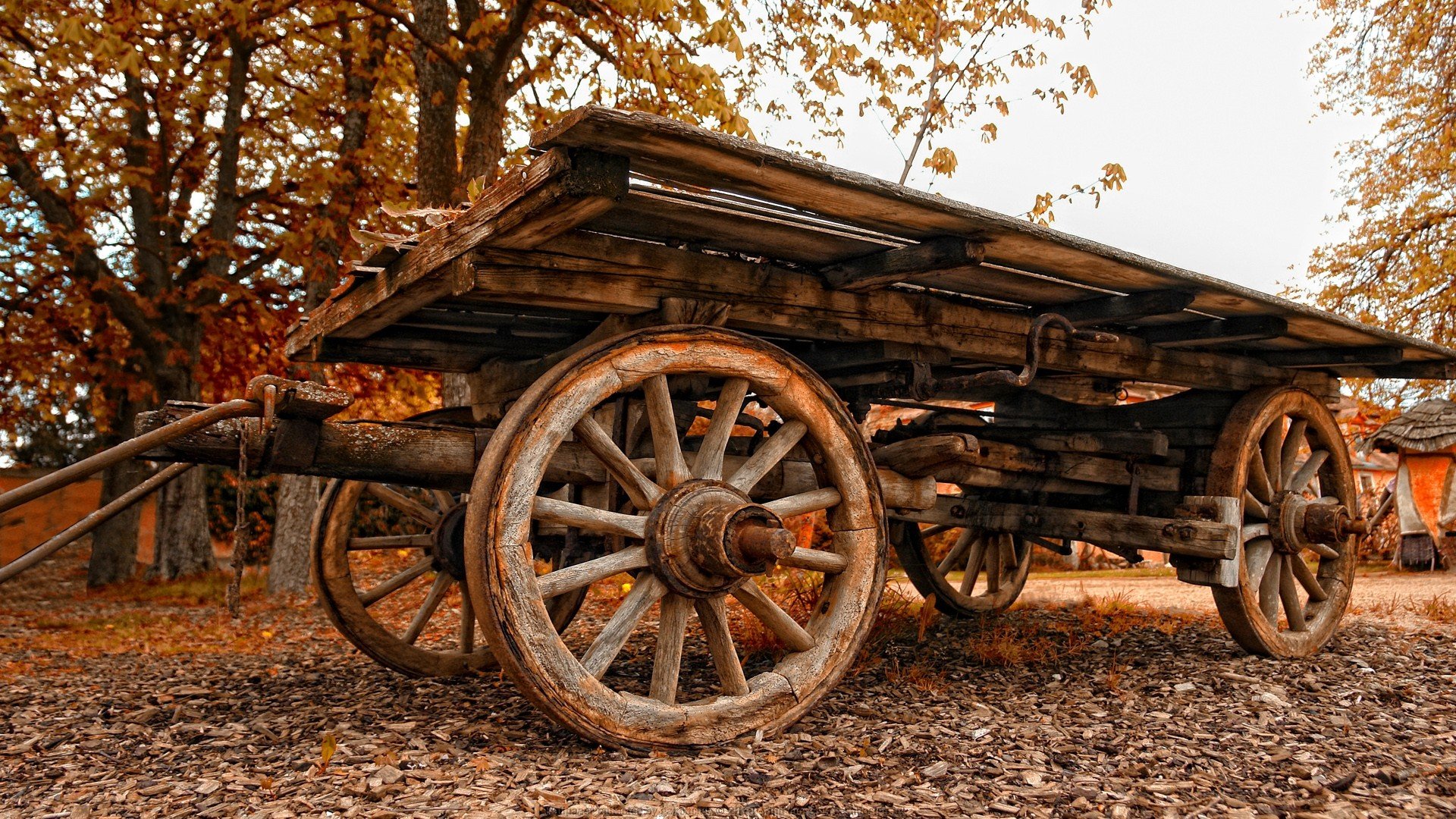 landscapes, Wood, Cars, Cart, Carriage Wallpaper