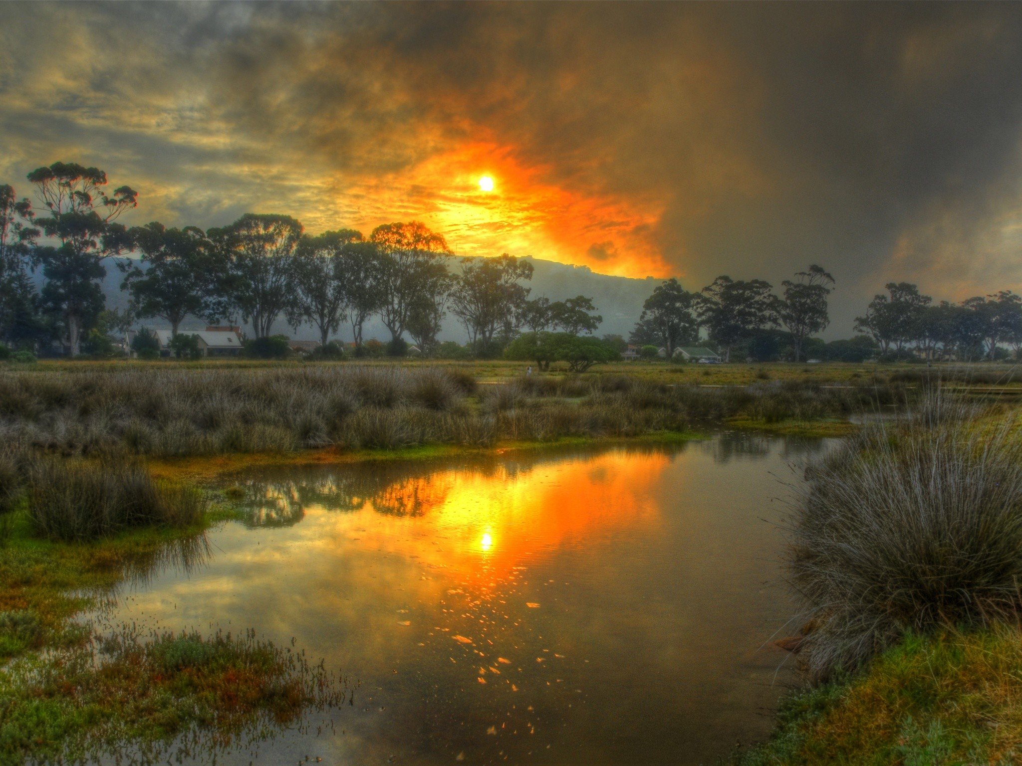 landscapes, Hdr, Photography, Swamp, Skyscapes Wallpaper