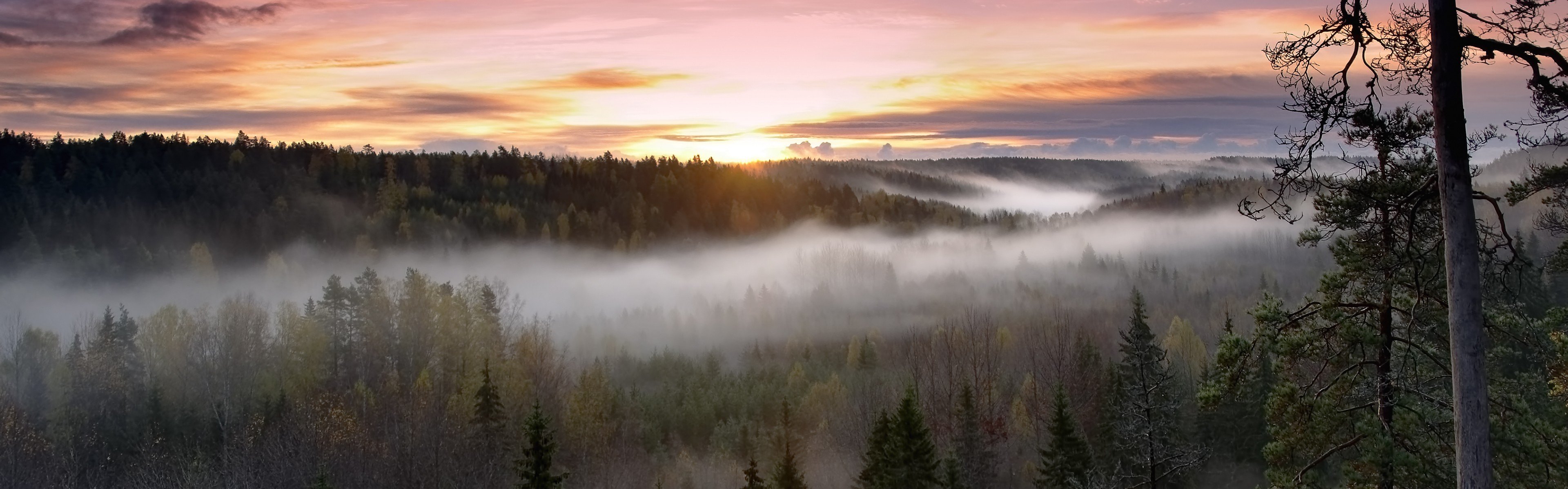 multiscreen Wallpaper