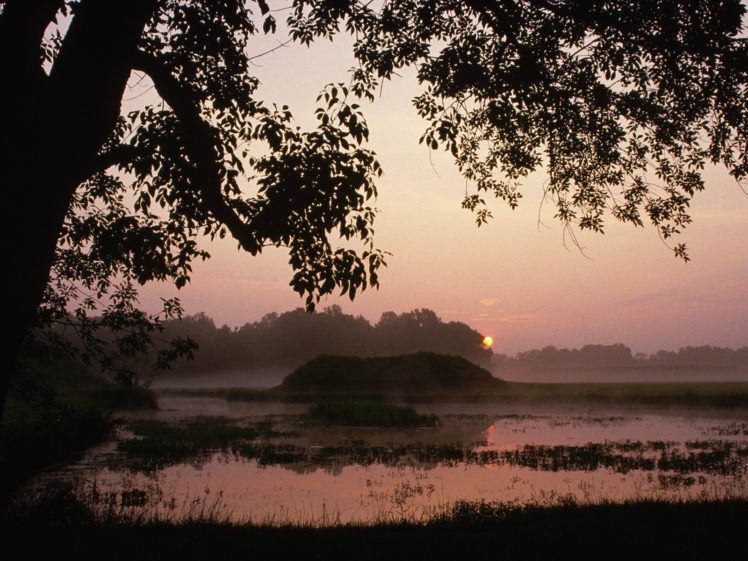 sunrise, Nature, Alabama, Parks HD Wallpaper Desktop Background