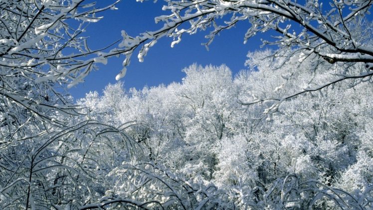 snow, Trees, Tennessee, Parks HD Wallpaper Desktop Background