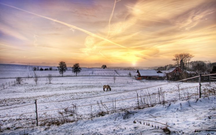 winter, Sunsety, Sunrise HD Wallpaper Desktop Background