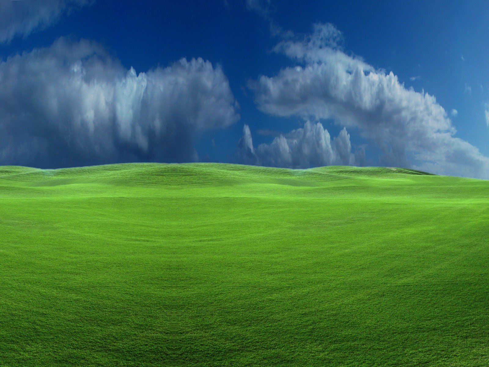 green, Nature Wallpaper