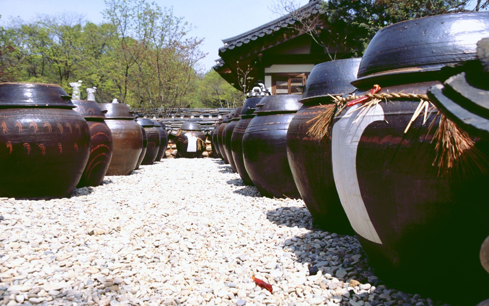 korea Wallpaper