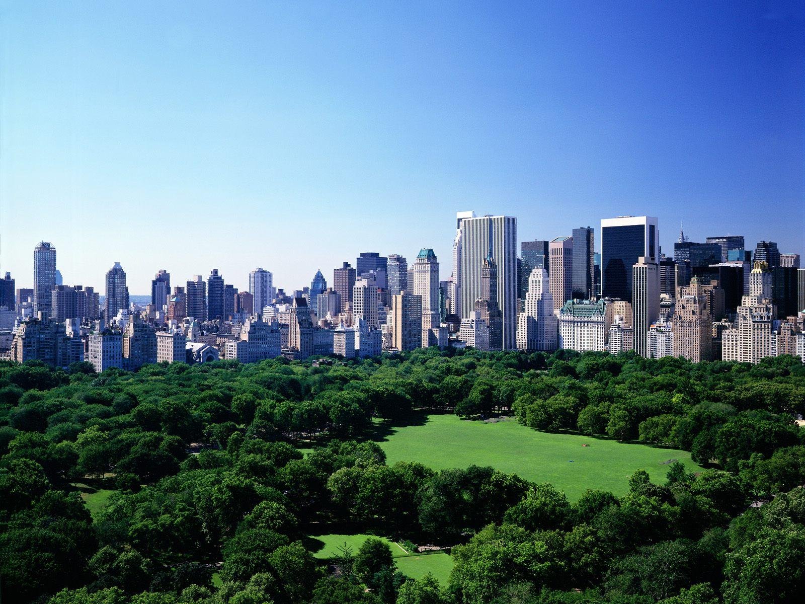 trees, Cityscapes Wallpaper