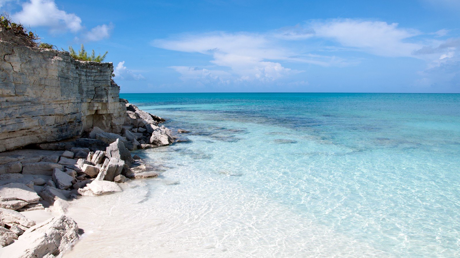 nature, Trees Wallpaper