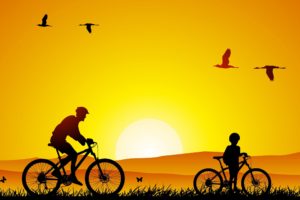 birds, Bicycles