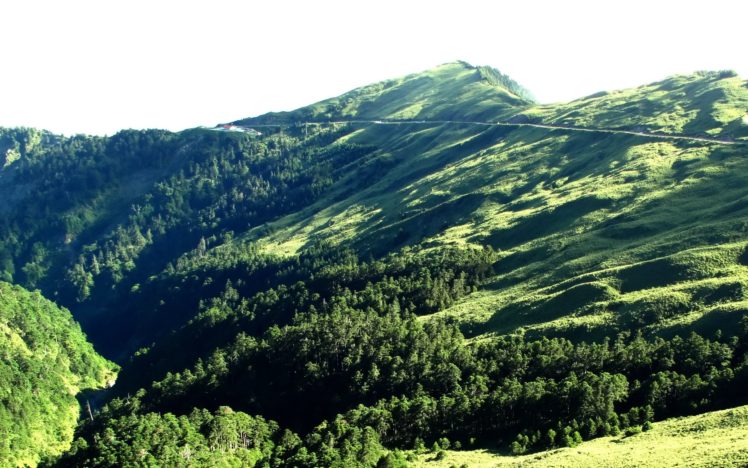 mountains, Landscapes, Nature, Trees, Forests, Grass, Hills, Hillside HD Wallpaper Desktop Background