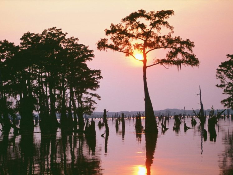 sunset, Trees, Louisiana HD Wallpaper Desktop Background