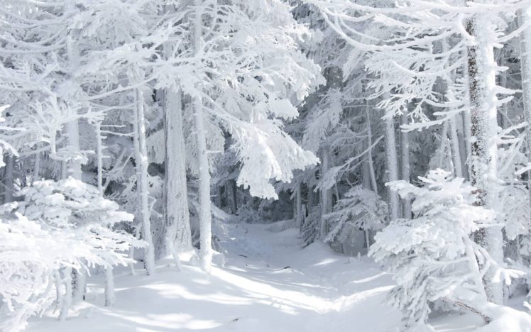 landscapes, Nature, Snow HD Wallpaper Desktop Background