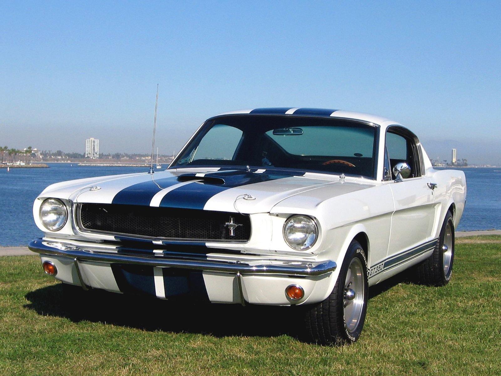 vehicles, Supercars, Ford, Mustang Wallpaper