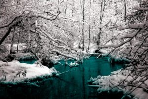 winter, Trees, Cold, Rivers