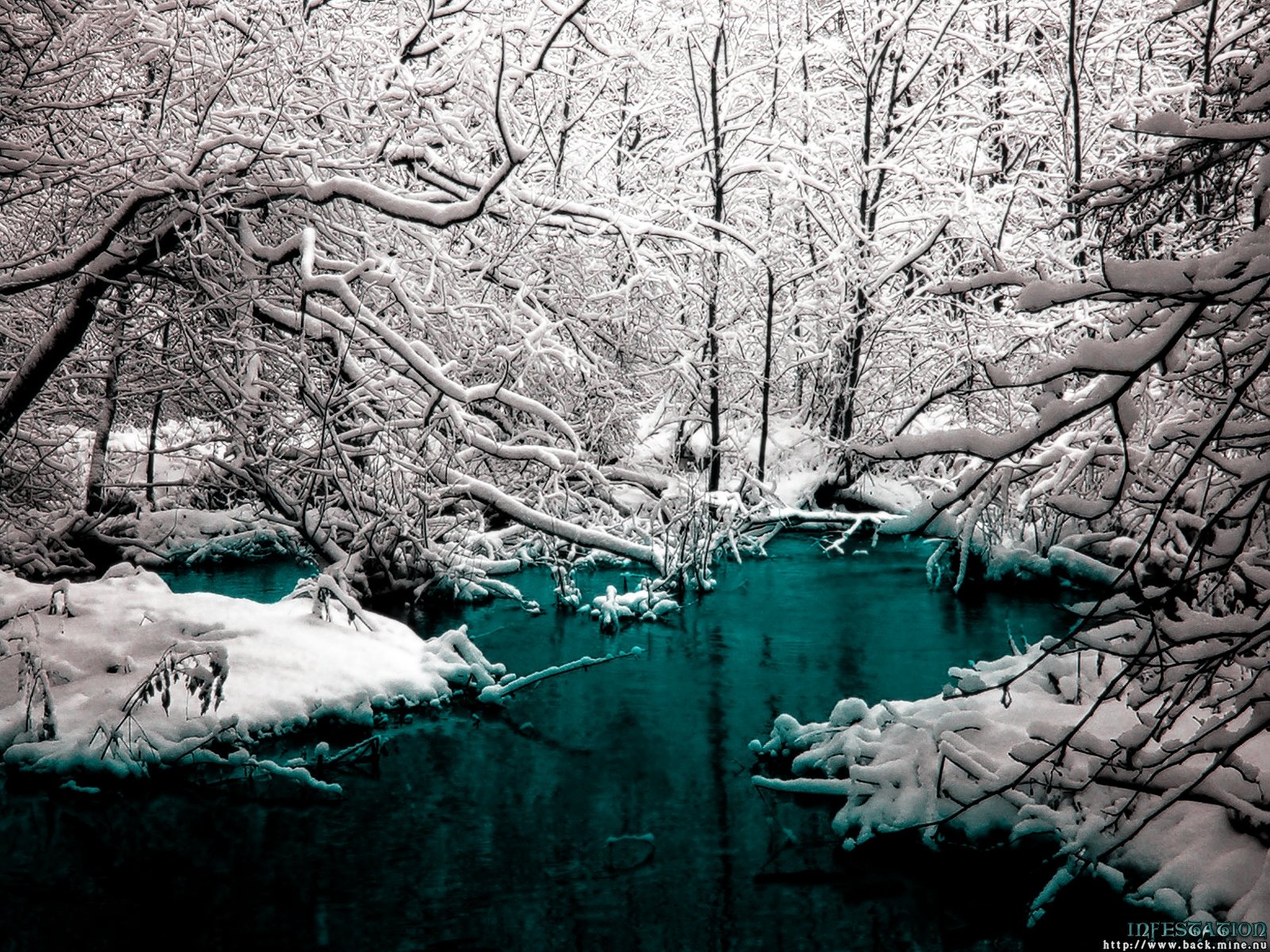 winter, Trees, Cold, Rivers Wallpaper