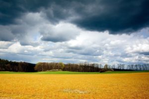 clouds, Landscapes, Nature, Forests, Fields, Skyscapes, Land