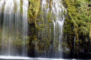 water, Landscapes, Nature, Trees, Waterfalls
