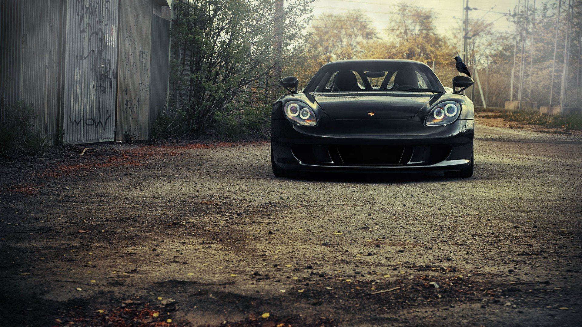 supercars, Porsche, Carrera, Gt, Sports, Cars Wallpaper