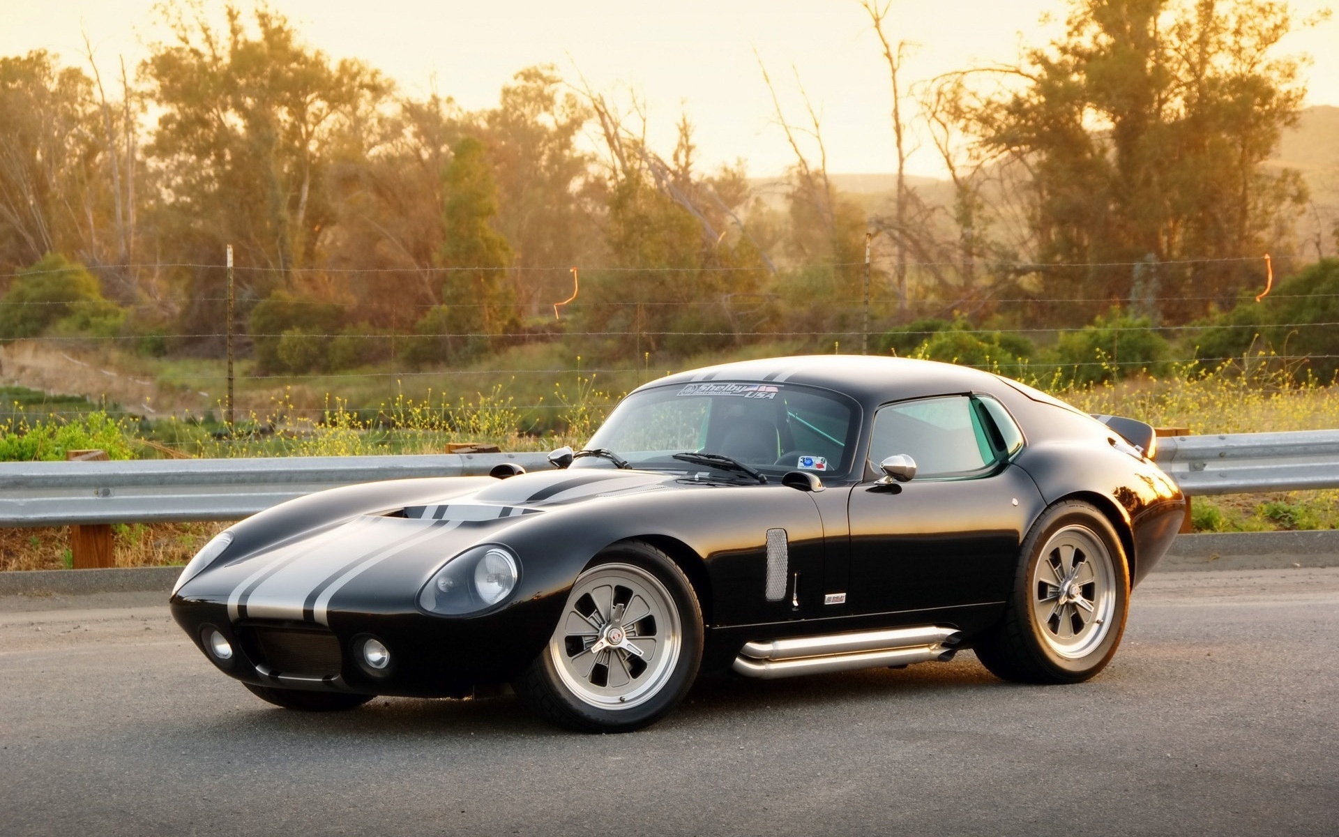 Sherhan Shelby Cobra