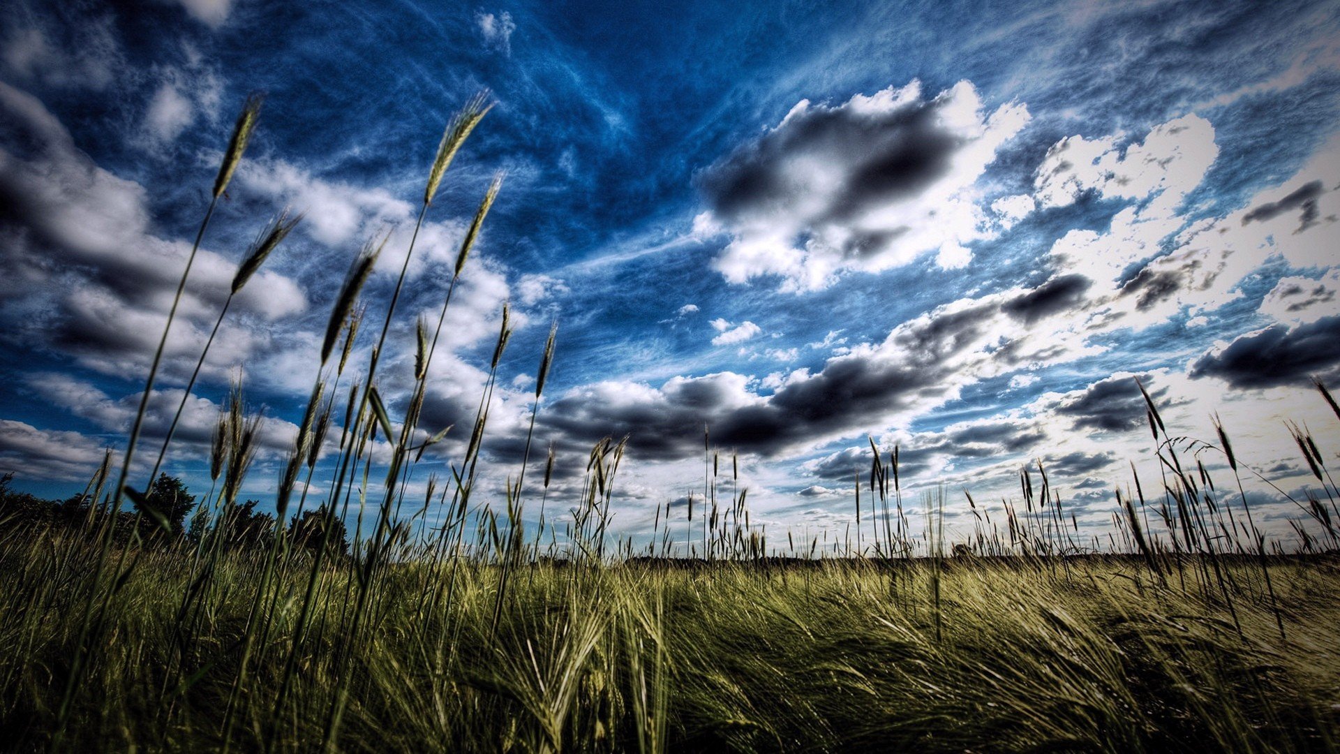 nature Wallpaper