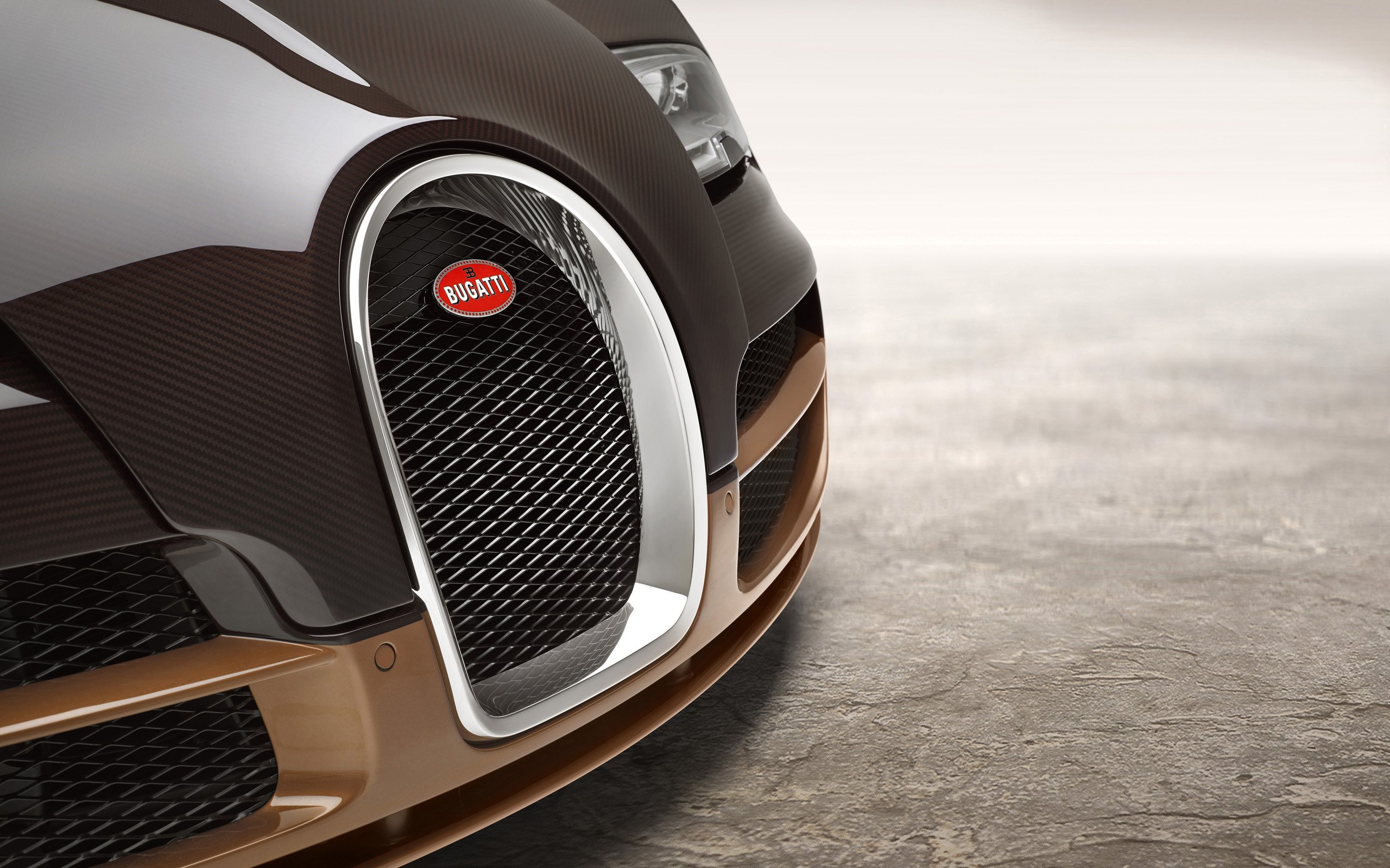 2014, Bugatti, Veyron, Grand, Sport, Roadster, Vitesse, Rembrandt, Supercar Wallpaper