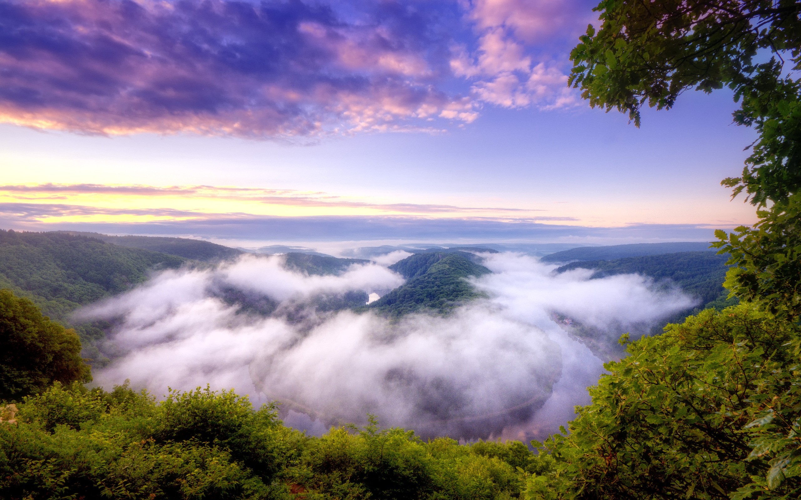 river, Valley, In, The, Mist Wallpaper