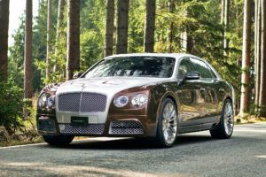 2014, Mansory, Bentley, Continental, Flying, Spur, Luxury