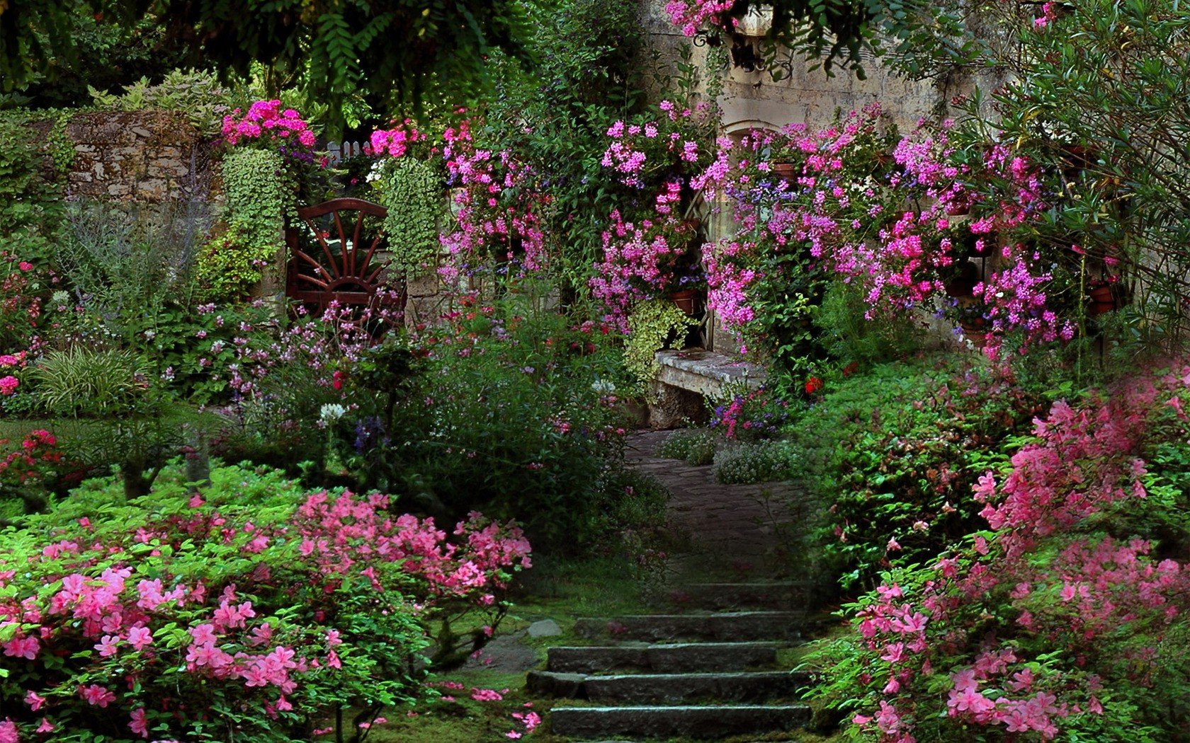 Очень красивый сад