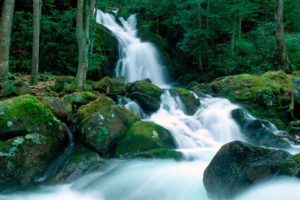 landscapes, Nature, Falls, Great, Smoky, Mountains, Creek, North, Carolina