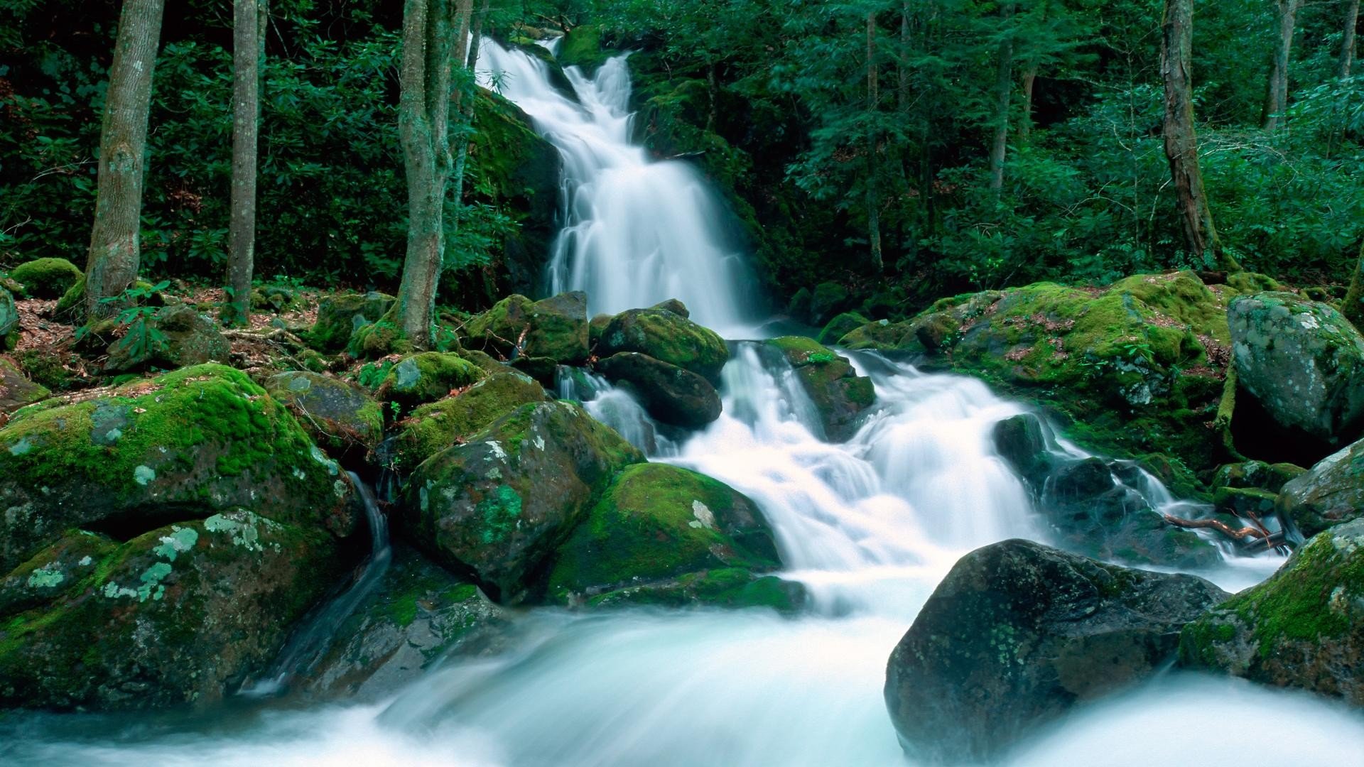 landscapes, Nature, Falls, Great, Smoky, Mountains, Creek, North, Carolina Wallpaper