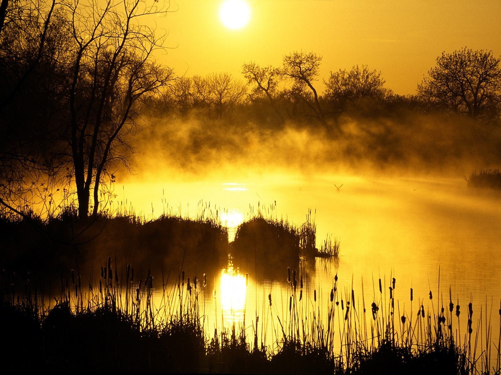 landscapes, Nature, Mist, Sunlight, Lakes Wallpaper
