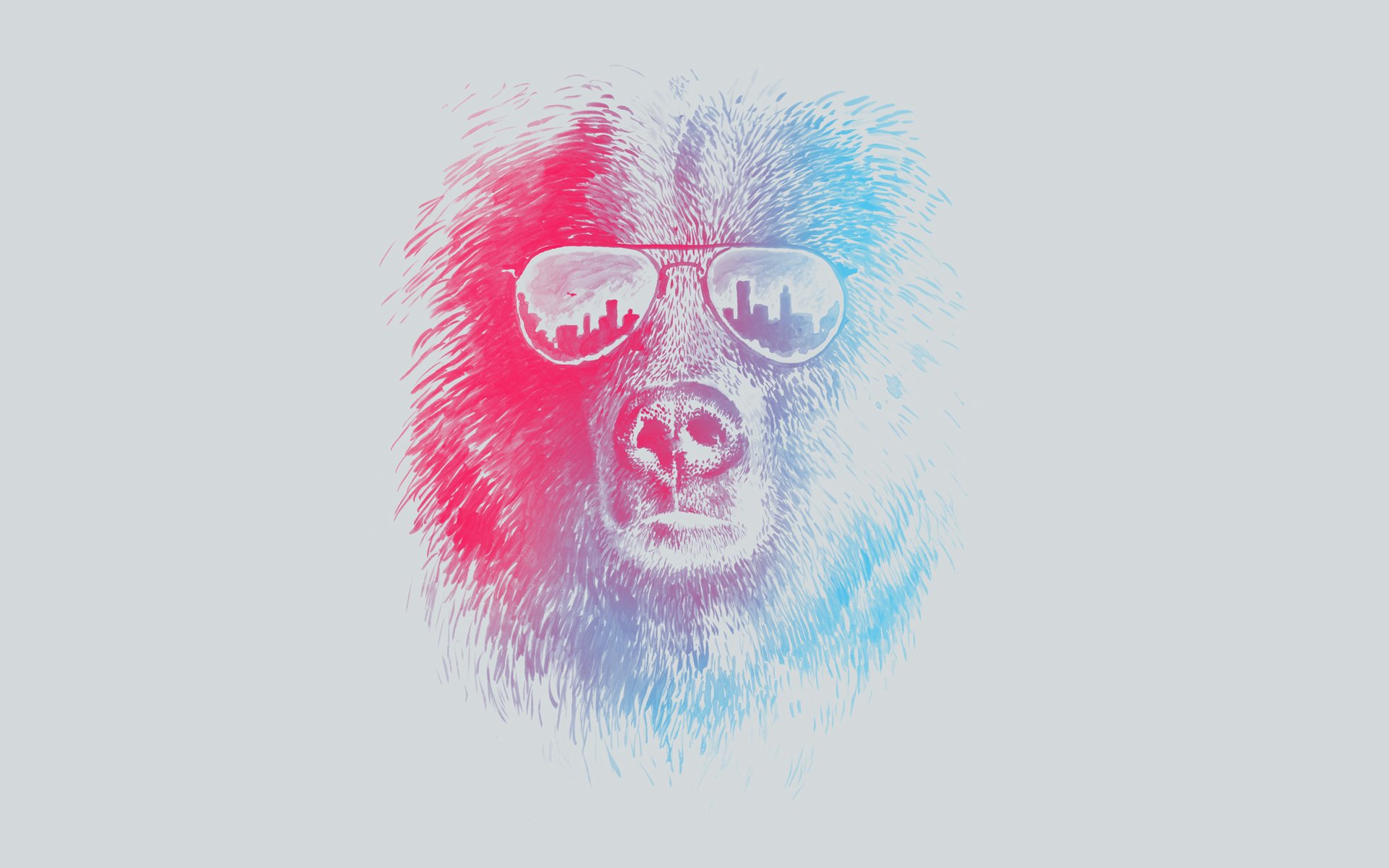 sunglasses, Bears Wallpaper